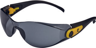 Lunettes de protection FINNEY IS lunettes AF, AS