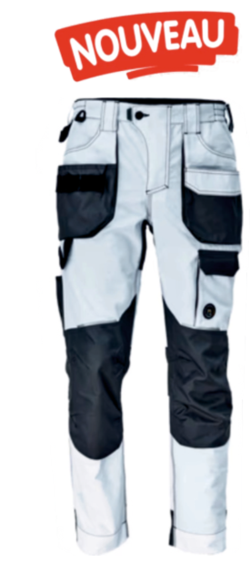 Pantalons de travail DAYBORO PFM